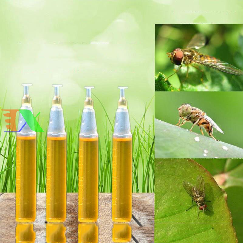 Chất dẫn dụ ruồi vàng